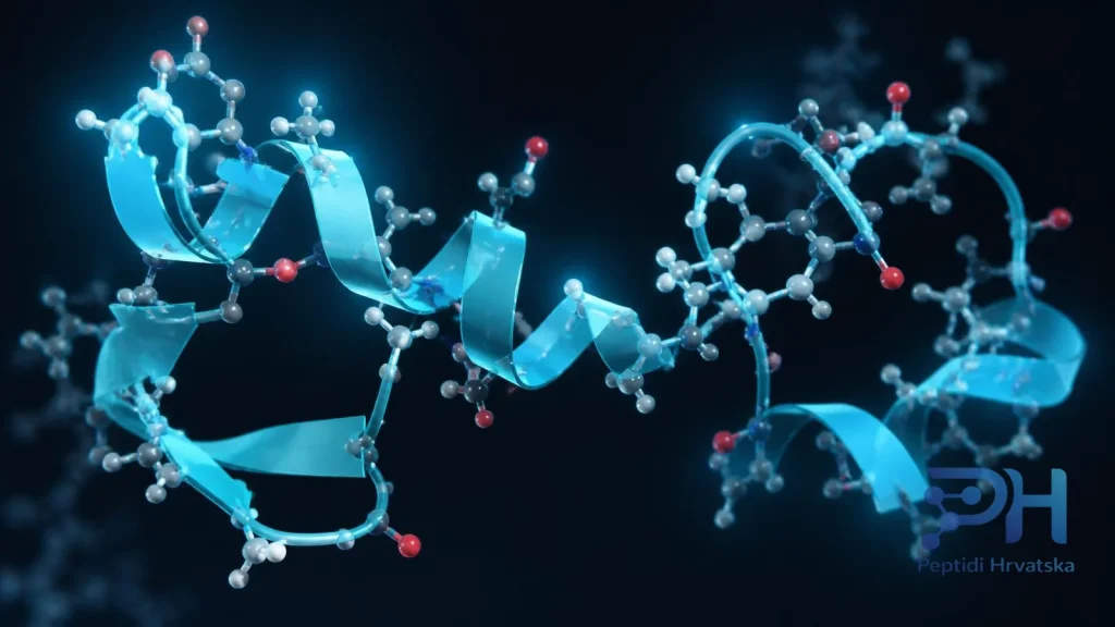 Molekularna masa i lipofilnost određuju hoće li peptid uopće proći kroz rožnati sloj kože u opisanim modelima.